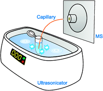 Graphical abstract: Ultrasonication-assisted spray ionization mass spectrometry for on-line monitoring of organic reactions