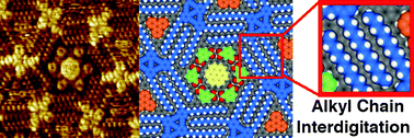 Graphical abstract: Supramolecular surface-confined architectures created by self-assembly of triangular phenylene–ethynylene macrocycles via van der Waals interaction
