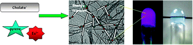 Graphical abstract: A self-assembled, luminescent europium cholate hydrogel: a novel approach towards lanthanide sensitization