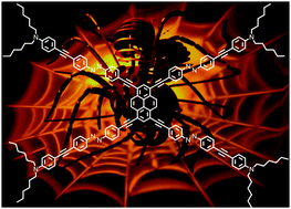 Graphical abstract: On the route to mimic natural movements: synthesis and photophysical properties of a molecular arachnoid