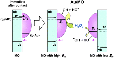 Graphical abstract: A strong support-effect on the catalytic activity of gold nanoparticles for hydrogen peroxide decomposition