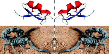Graphical abstract: Total chemical synthesis and X-ray structure of kaliotoxin by racemic protein crystallography