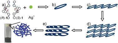 Graphical abstract: Self-discriminating and hierarchical assembly of racemic binaphthyl-bisbipyridines and silver ions: from metallocycles to gel nanofibers