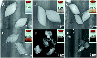 Graphical abstract: Visual detection of cobalt(ii) ion in vitro and tissue with a new type of leaf-like molecular microcrystal