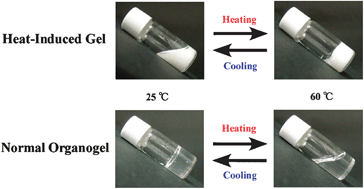 Graphical abstract: Changes in viscosity behavior from a normal organogelator to a heat-induced gelator for a long-chain amidoamine derivative