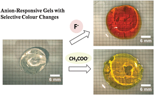 Graphical abstract: Thiourea-tagged poly(octadecyl acrylate) gels as fluoride and acetate responsive polymer gels through selective complexation