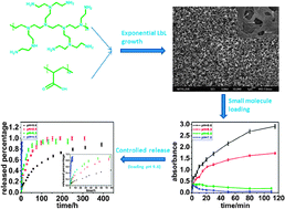 Graphical abstract: Exponentially growing layer-by-layer assembly to fabricate pH-responsive hierarchical nanoporous polymeric film and its superior controlled release performance