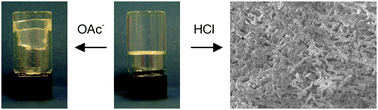 Graphical abstract: Anion tuning and polymer templating in a simple low molecular weight organogelator
