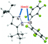 Graphical abstract: Intramolecular heterolytic dihydrogen cleavage by a bifunctional frustrated pyrazolylborane Lewis pair