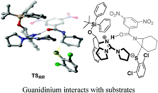 Graphical abstract: Mechanistic considerations of guanidine-catalyzed reactions