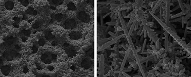 Graphical abstract: Honeycomb nanogold networks with highly active sites