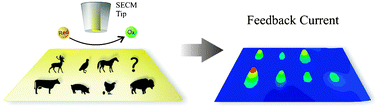 Graphical abstract: Towards the electrochemical identification of species