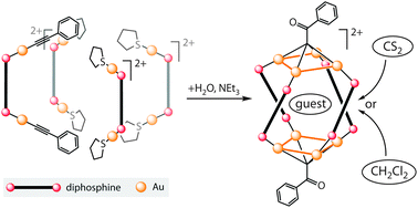 Graphical abstract: Assembly of the Au–diphosphine helical cage molecules viaalkynyl–μ4-methylydine ligand transformation