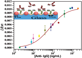 Graphical abstract: High sensitivity and selectivity of human antibody attachment at the interstices between substrate-bound gold nanoparticles