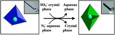Graphical abstract: Solid-to-solid formation at the solid–liquid interface leading to a chiral coordination polymer from an achiral monomer