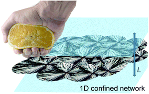 Graphical abstract: Critical behavior of confined supramolecular soft materials on a microscopic scale