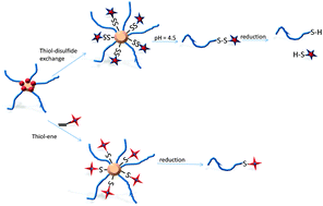 Graphical abstract: Functional, star polymeric molecular carriers, built from biodegradable microgel/nanogel cores