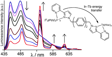 Graphical abstract: Visible-light sensitisation of Tb(iii) luminescence using a blue-emitting Ir(iii) complex as energy-donor