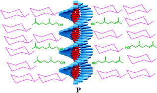 Graphical abstract: Insight into the chiral induction in supramolecular stacks through preferential chiral solvation