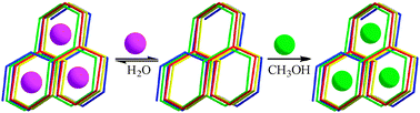 Graphical abstract: Single-crystal-to-single-crystal transformations and selective adsorption of porous copper(ii) frameworks