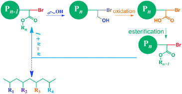 Graphical abstract: Toward the synthesis of sequence-controlled vinyl copolymers