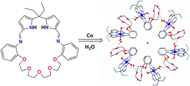 Graphical abstract: Hexagonal wheel formation through the hydrogen-bonded assembly of cobalt Pacman complexes