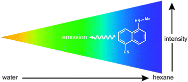 Graphical abstract: A new solvatochromic fluorophore for exploring nonpolar environments created by biopolymers
