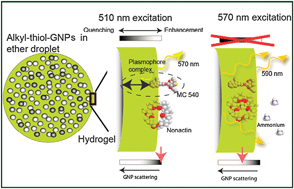 Graphical abstract: Plasmonic nanoparticle interactions for high-performance imaging fluorosensors