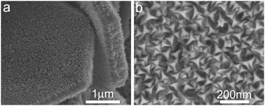 Graphical abstract: Ionic liquid-assisted synthesis of thorned gold plates comprising three-branched nanotip arrays