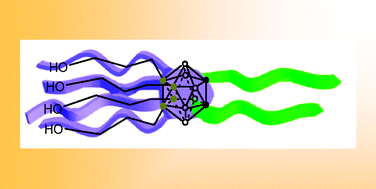 Graphical abstract: Synthesis of quadruped-shaped polyfunctionalized o-carborane synthons