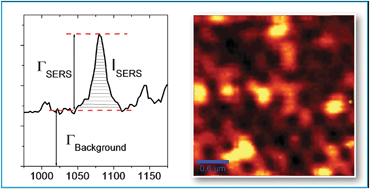 Graphical abstract: Evidence of a surface plasmon-mediated mechanism in the generation of the SERS background