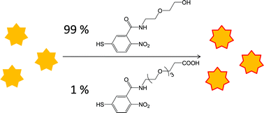 Graphical abstract: Hydrophilically stabilized gold nanostars as SERS labels for tissue imaging of the tumor suppressor p63 by immuno-SERS microscopy