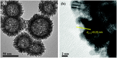 Graphical abstract: Rational synthesis of Pt spheres with hollow interior and nanosponge shell using silica particles as template