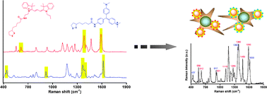 Graphical abstract: Multiplex cancer cell detection by SERS nanotags with cyanine and triphenylmethine Raman reporters