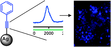 Graphical abstract: Carbon-bonded silver nanoparticles: alkyne-functionalized ligands for SERS imaging of mammalian cells