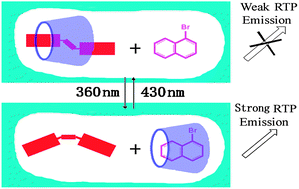 Graphical abstract: Photocontrolled reversible room temperature phosphorescence (RTP) encoding β-cyclodextrin pseudorotaxane
