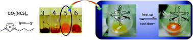 Graphical abstract: Thermochromic properties of low-melting ionic uranyl isothiocyanate complexes