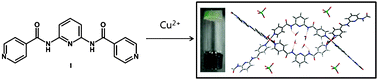 Graphical abstract: Pyridine-based coordination polymeric hydrogel with Cu2+ ion and its encapsulation of a hydrophobic molecule