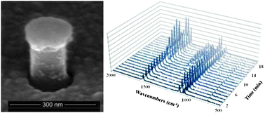 Graphical abstract: Efficient disc on pillar substrates for surface enhanced Raman spectroscopy