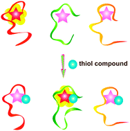 Graphical abstract: Modulating DNA-templated silver nanoclusters for fluorescence turn-on detection of thiol compounds