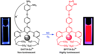 Graphical abstract: A europium(iii) chelate as an efficient time-gated luminescent probe for nitric oxide