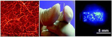 Graphical abstract: Highly transparent and flexible field emission devices based on single-walled carbon nanotube films