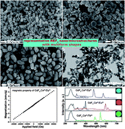 Graphical abstract: Fine structural and morphological control of rare earth fluorides REF3 (RE = La–Lu, Y) nano/microcrystals: microwave-assisted ionic liquid synthesis, magnetic and luminescent properties