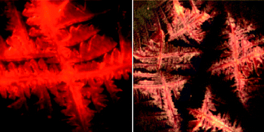 Graphical abstract: Science as art: self-assembly of hybrid SiO2-coated nanocrystals