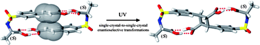 Graphical abstract: Enantiocontrolled solid-state photodimerizations via a chiral sulfonamidecinnamic acid