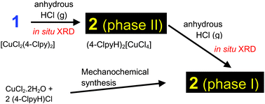 Graphical abstract: Synthesis and polymorphism of (4-ClpyH)2[CuCl4]: solid–gas and solid–solid reactions