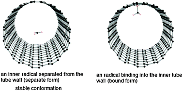 Graphical abstract: Chemically reactive species remain alive inside carbon nanotubes: a density functional theory study