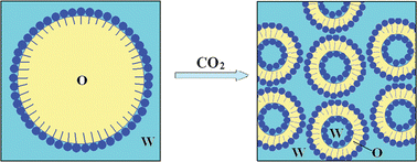 Graphical abstract: Water-in-oil-in-water double nanoemulsion induced by CO2