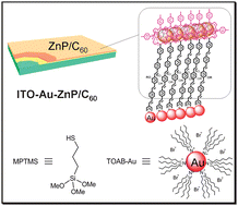 Graphical abstract: Constructing hybrid films of conjugated oligomers and gold nanoparticles for efficient photoelectronic properties