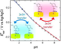 Graphical abstract: Step-wise proton-coupled electron transfer extended to aminobenzoquinone modified monolayers